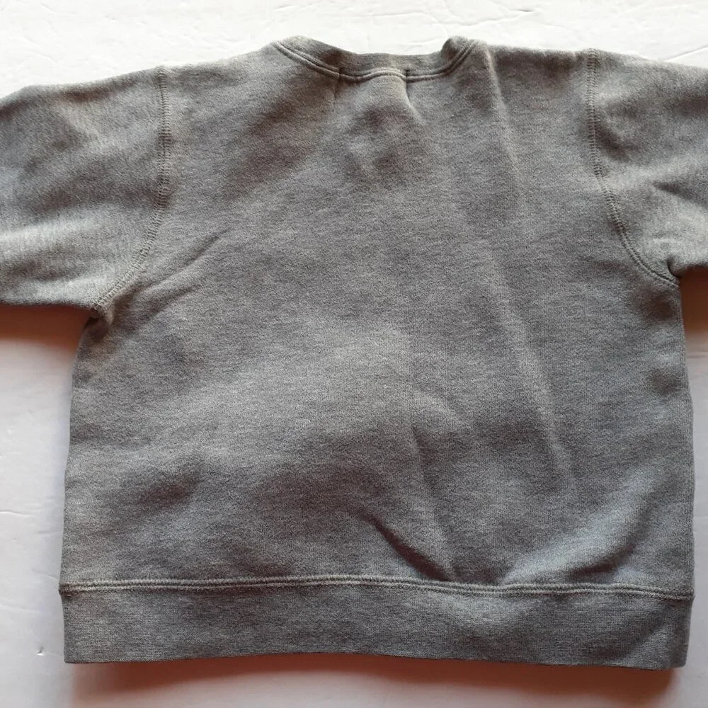 Children's Place Boys Sweatshirt Pullover Gray 18 Months